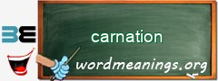 WordMeaning blackboard for carnation